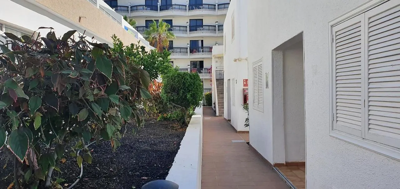 Adults Only Sunny Quiet Apartment In Center Of Las Americas Arona  0*, Arona (Tenerife) Spain