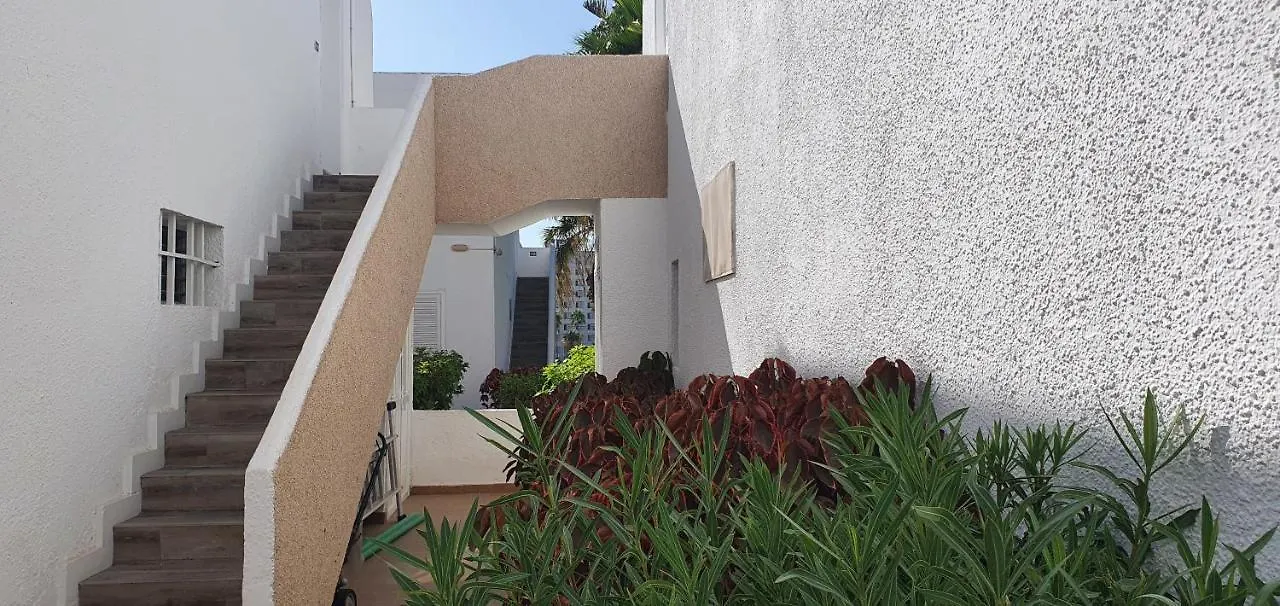 Adults Only Sunny Quiet Apartment In Center Of Las Americas Arona  0*, Arona (Tenerife)