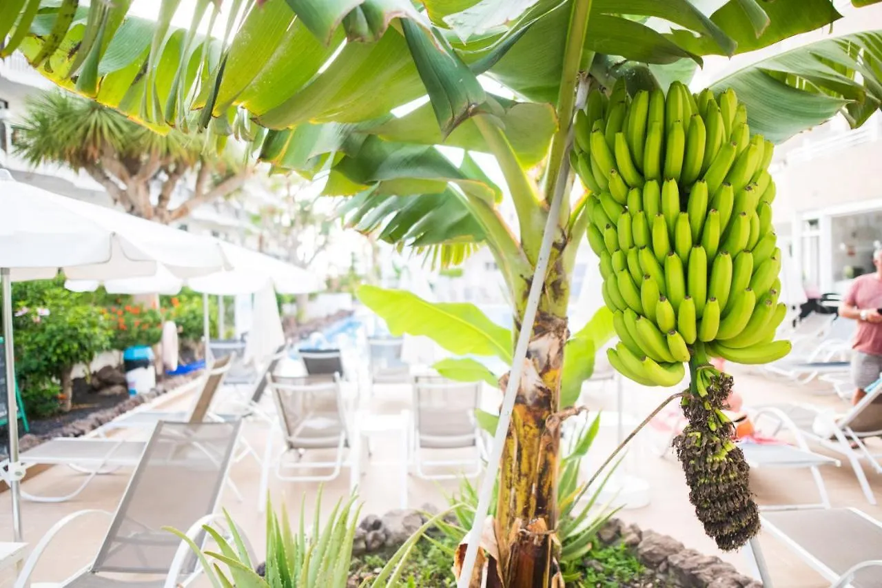 Adults Only Sunny Quiet Apartment In Center Of Las Americas Arona  0*, Arona (Tenerife)